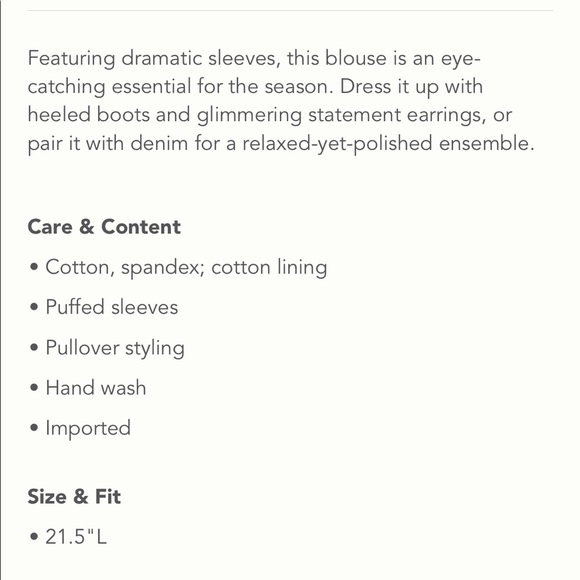 LAST CALL Anthropologie puff sleeved top - Picture 4 of 8